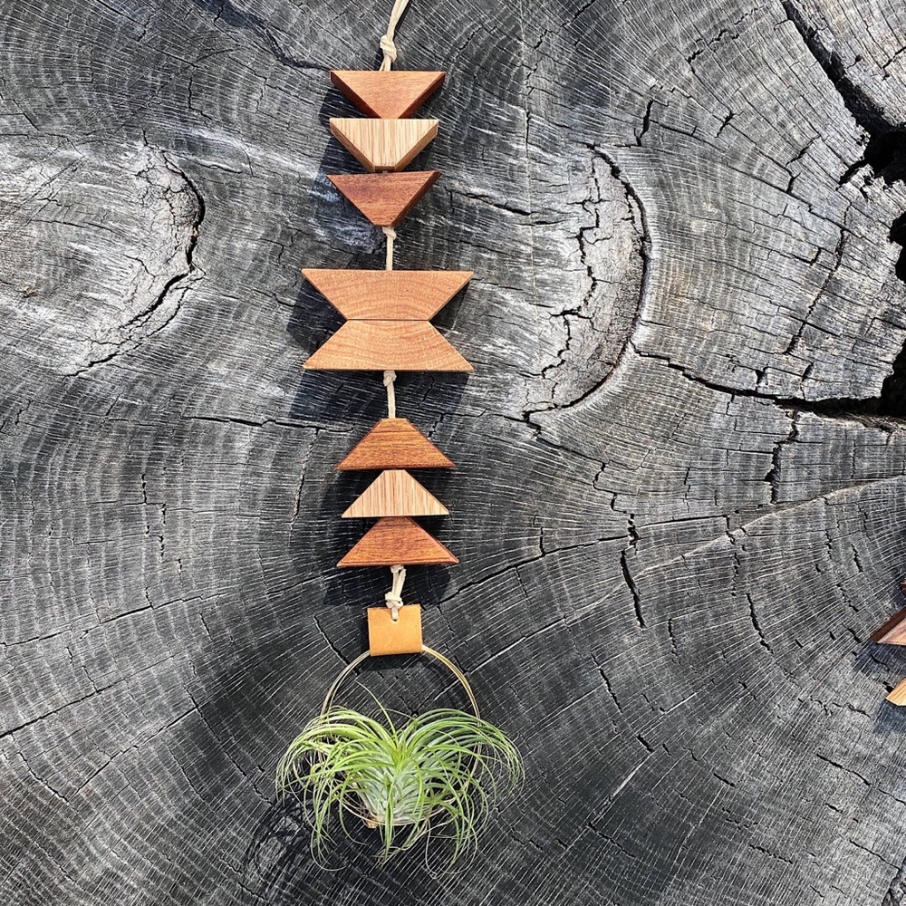 X S O L D X Modern Air Plant Wall Hanging